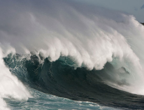 Western Web’s Tests New Tsunami Drill